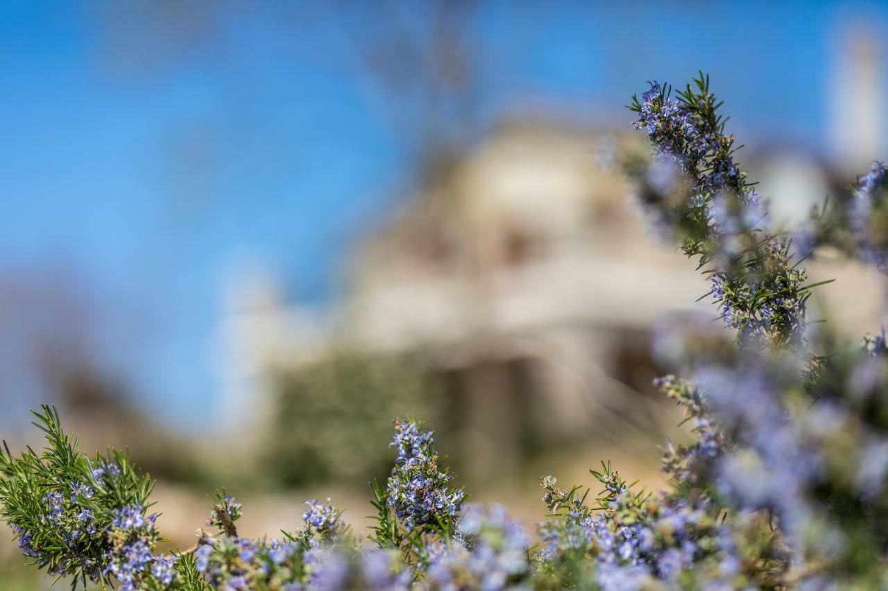 Villa Korina Pinezići Eksteriør billede